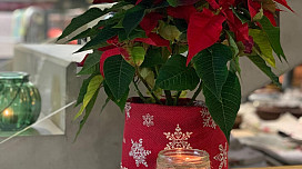 Le plus beau Noël chez nous