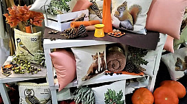 Plaisir d&#39;automne