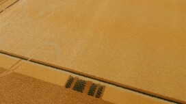 Vous cherchez des tapis pas chers ? Nous avons des conseils sur le métrage et les pièces