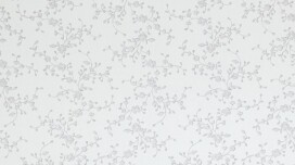 Qu&#39;est-ce qui appartient au mur ? Plâtre, papier peint ou peut-être stuc ?