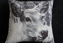 Oreillers avec des animaux