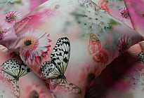 De nouveaux papillons arrivent au printemps