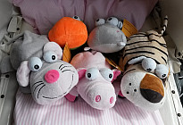 PELUCHE MAGIQUE !