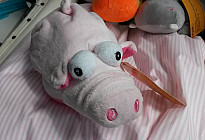 PELUCHE MAGIQUE !