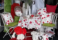 Coquelicot - le joyau de nos champs