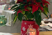 Le plus beau Noël chez nous