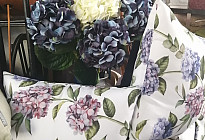 La beauté des hortensias