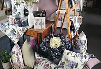 La beauté des hortensias