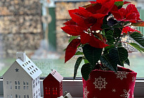 Ménage de Noël de dernière minute ? Nous vous conseillerons !