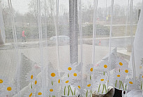 Nouvelles du printemps