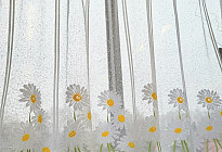 Nouvelles du printemps