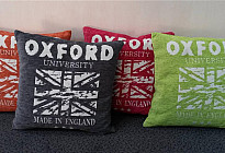 Nouveaux coussins décoratifs