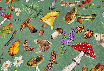 Collection d'automne pour votre maison