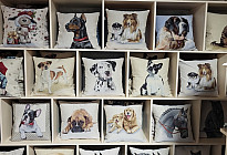 Pour les amoureux des animaux - une douceur qui vous apprivoisera