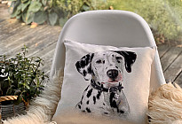 Pour les amoureux des animaux - une douceur qui vous apprivoisera