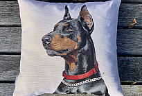 Pour les amoureux des animaux - une douceur qui vous apprivoisera