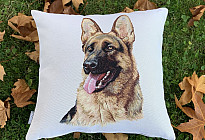 Pour les amoureux des animaux - une douceur qui vous apprivoisera