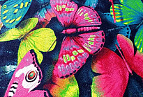 Tapis en morceaux PAPILLONS