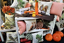 Plaisir d&#39;automne