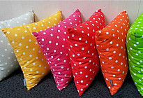 Coussins décoratifs