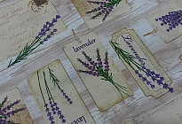 Provence – l&#39;amour pour la vie
