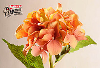 De belles fleurs d&#39;HORTENSIERS !
