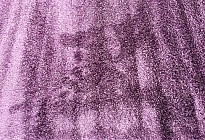 Les couleurs les plus populaires des tapis Shaggy