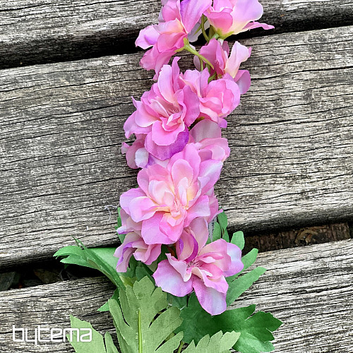 Delphinium rose 79 cm