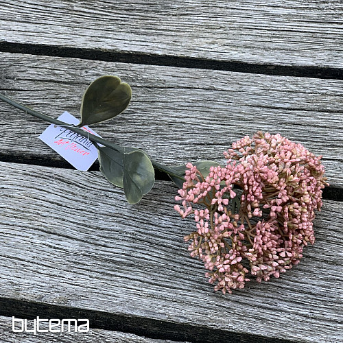 SEDUM SEC PLEINE FLEUR 46 cm vieux rose