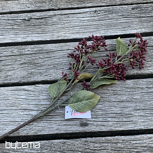 VIBURNUM TINUS SEC 58 cm bordeaux