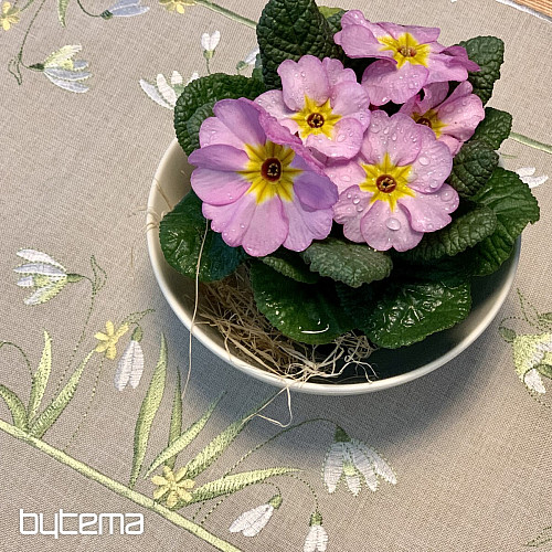 Nappe et écharpe brodées Blanche Neige