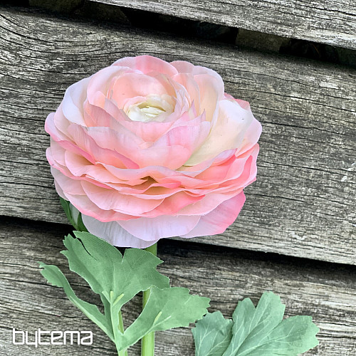 ROSE ROSE