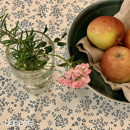 NAPPE FÊTE BLEU
