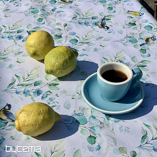 Nappe et écharpe OISEAUX SUR UNE Brindille