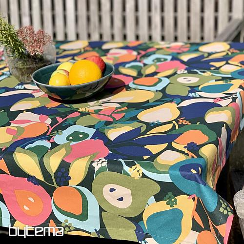 Nappe et écharpe POIRES ABSTRAITES