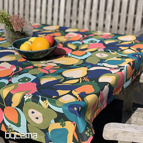 Nappe et écharpe POIRES ABSTRAITES