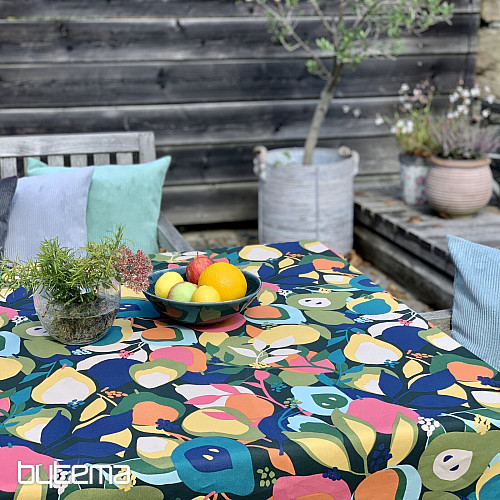 Nappe et écharpe POIRES ABSTRAITES