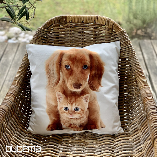 Taie d&#39;oreiller CHIEN ET CHAT