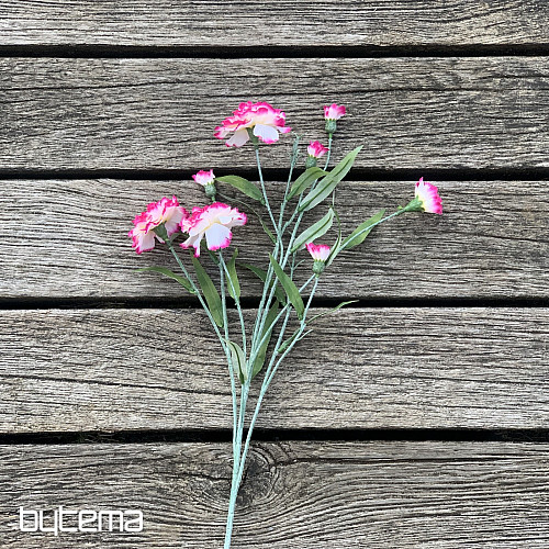 OEILLET rose et blanc