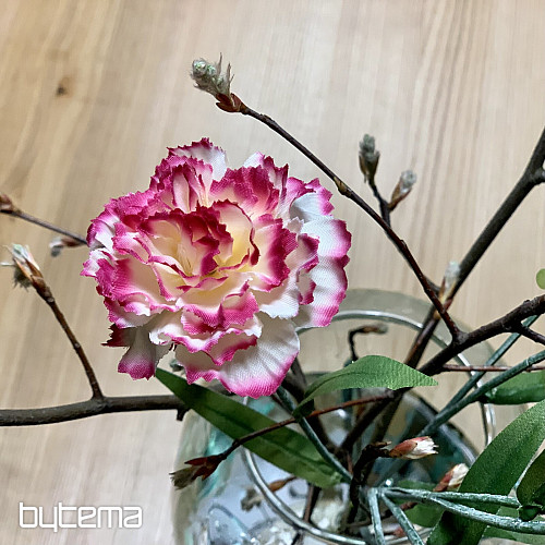 OEILLET rose et blanc