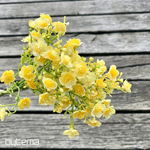 GYPSE SPRAY JAUNE
