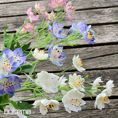 FLEUR SAUVAGE BLANCHE
