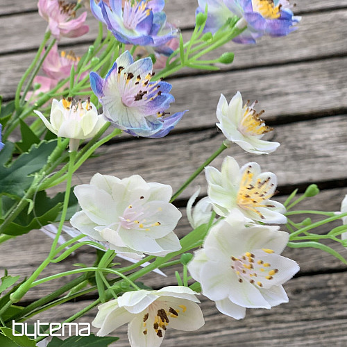 FLEUR SAUVAGE BLANCHE