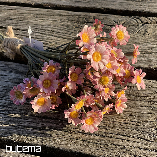 CAMOMILLE ROSE