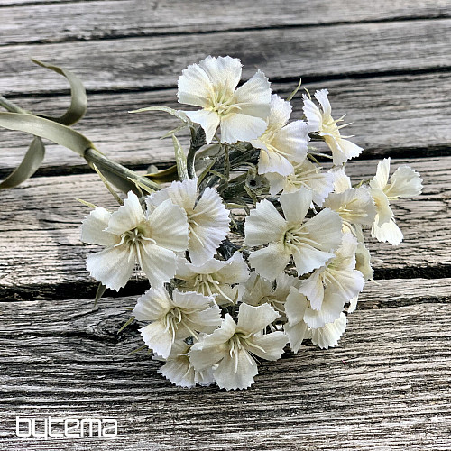 ŒILLET BLANC