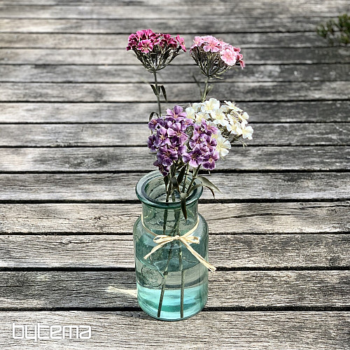 ŒILLET VIOLET