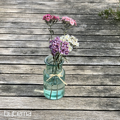 ŒILLET VIOLET