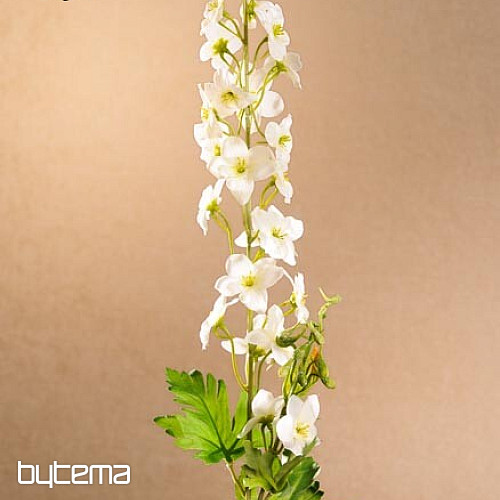 DELPHINIUM BLANC