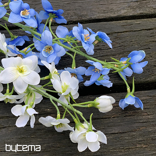 DELPHINIUM BLANC