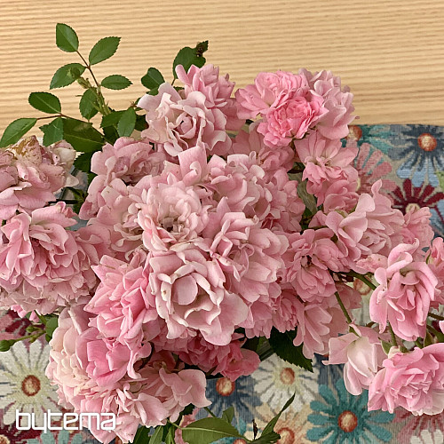 Set de table en tapisserie DAISY